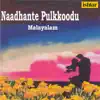 Various Artists - Naadhante Pulkkoodu