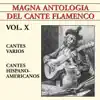 Various Artists - Magna Antología Del Cante Flamenco, Vol. X